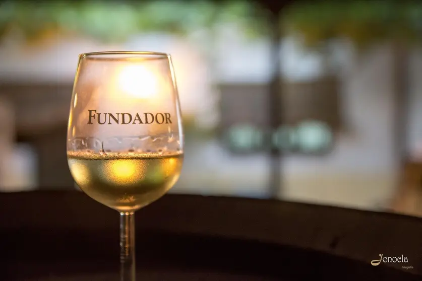 Visitas nocturnas en Bodegas Fundador | Jonocla Fotograf&iacute;a para MIRA Jerez