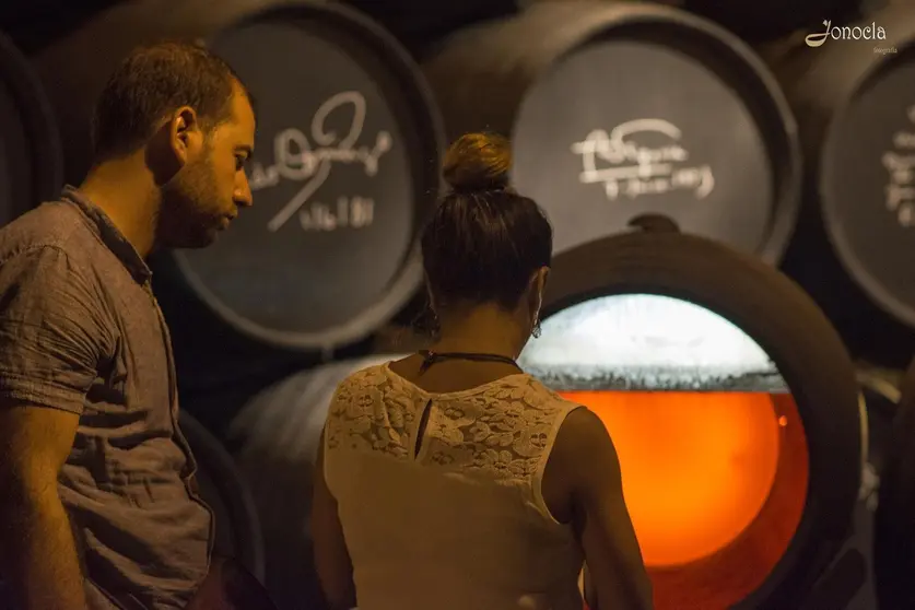 Visitas nocturnas en Bodegas Fundador | Jonocla Fotograf&iacute;a para MIRA Jerez