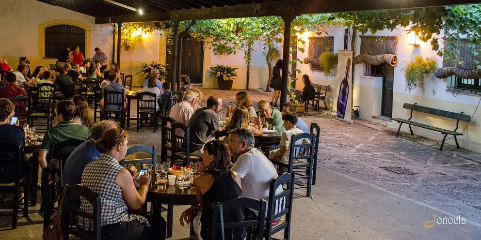 Visitas nocturnas en Bodegas Fundador | Jonocla Fotograf&iacute;a para MIRA Jerez