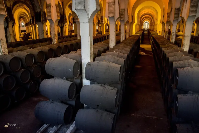 Visitas nocturnas en Bodegas Fundador | Jonocla Fotograf&iacute;a para MIRA Jerez