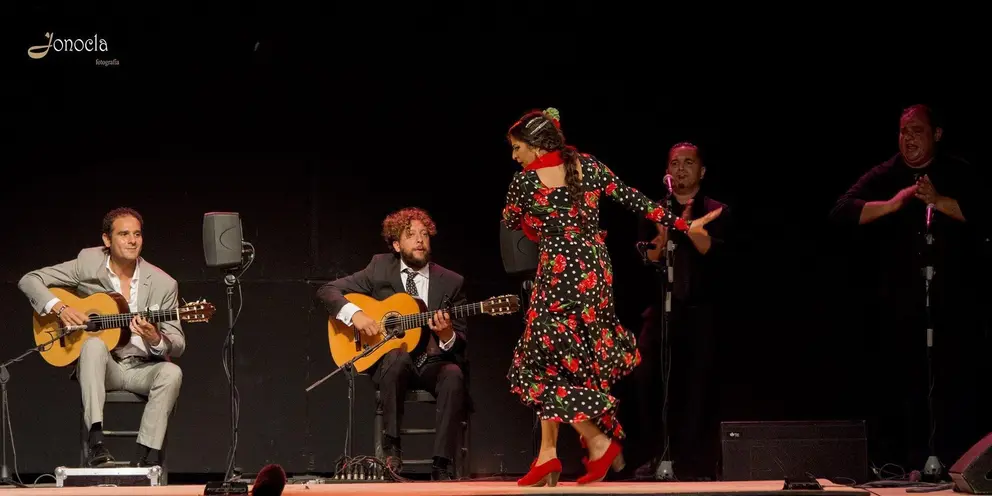 Imagen de archivo del ciclo Viernes Flamenco