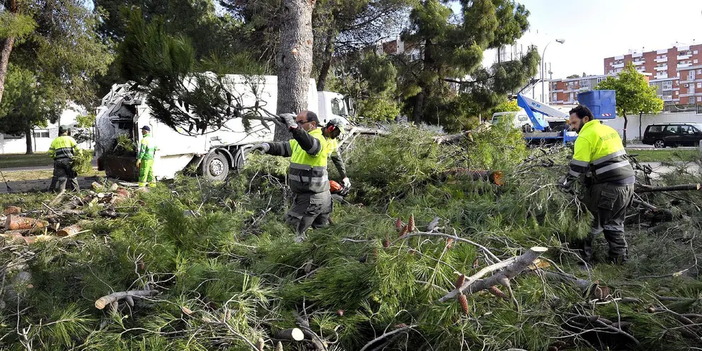 Efectos Temporal Viento en Jerez , Abril 2017