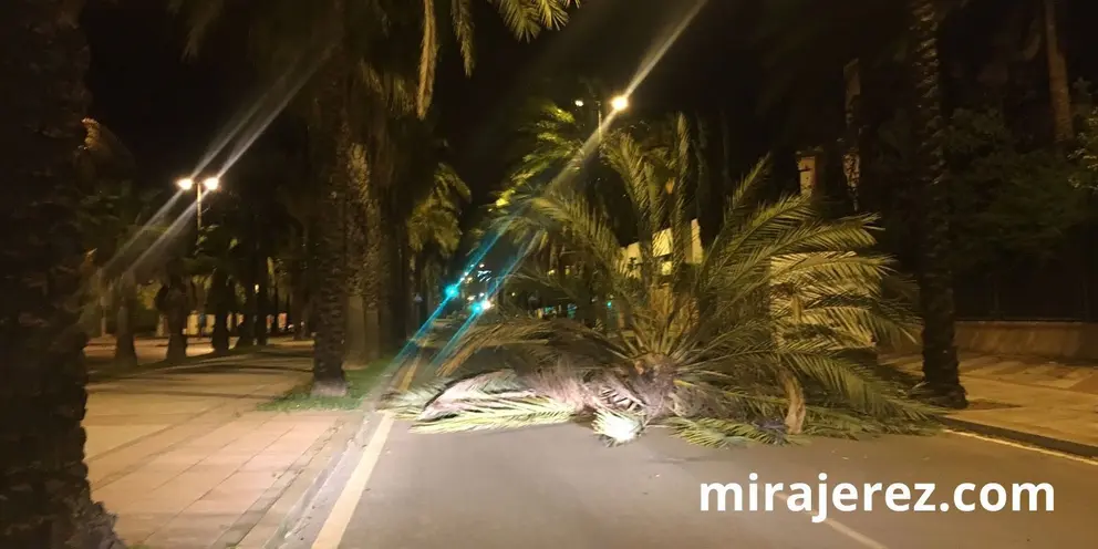 Avenida de Andaluc&iacute;a