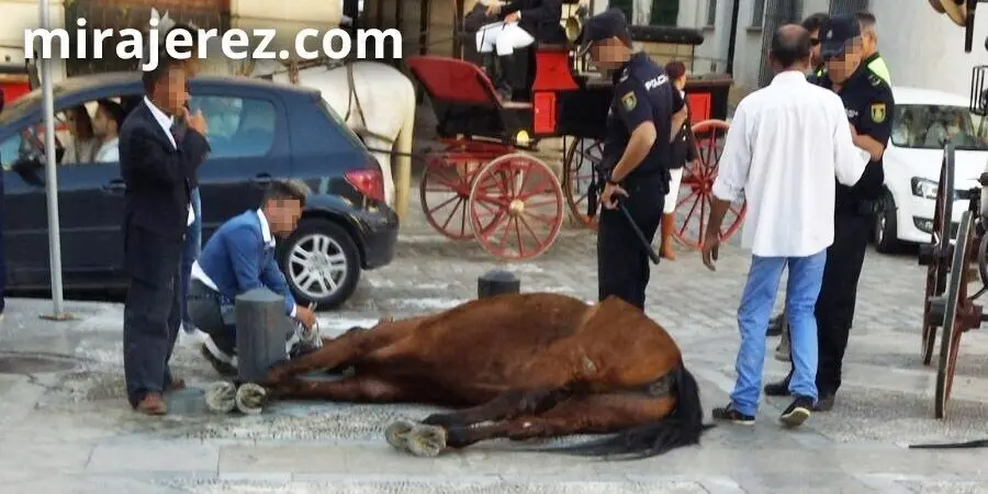Caballo cae rendido de vuelta a casa tras varias horas en la Feria de Jerez, en 2017