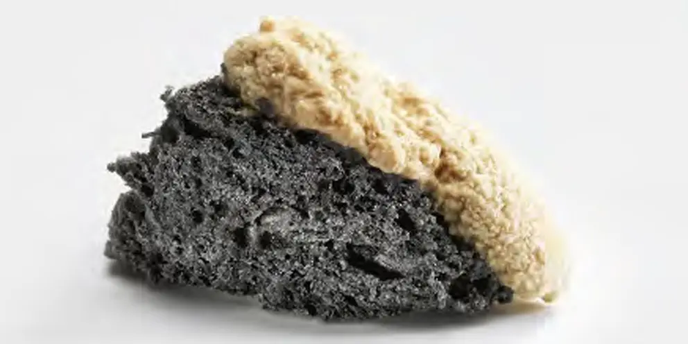 El velo de flor del T&iacute;o Pepe en Rama, en plato, una de las novedades del restaurante Mugaritz