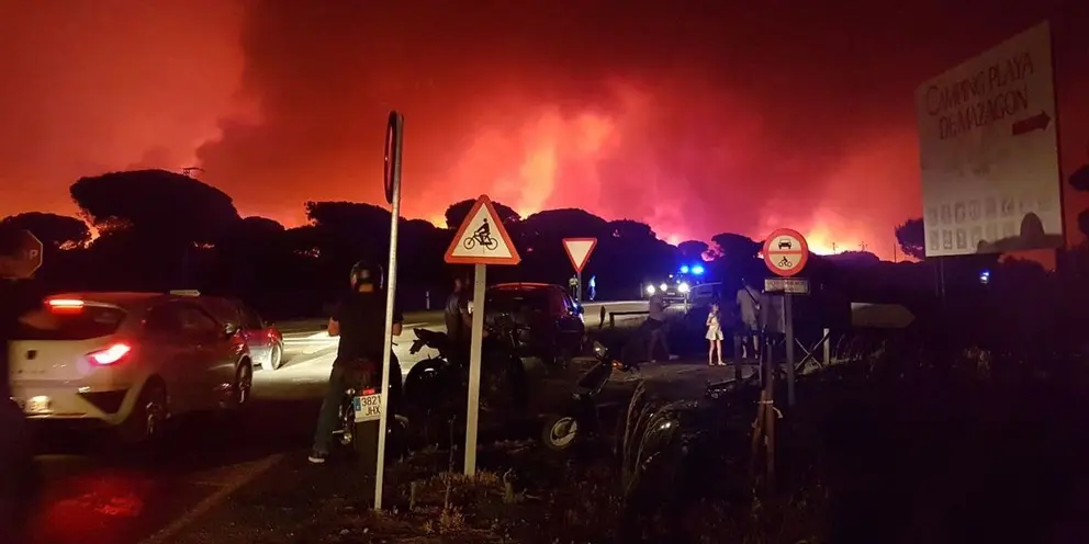 Incendio en Do&ntilde;ana - 2017