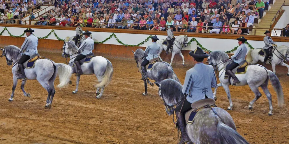 Espect&aacute;culo 'C&oacute;mo bailan los caballos andaluces'