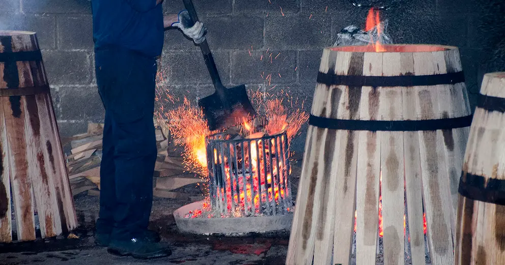 Toneler&iacute;a - Jonocla Fotograd&iacute;a | elMIRA.es