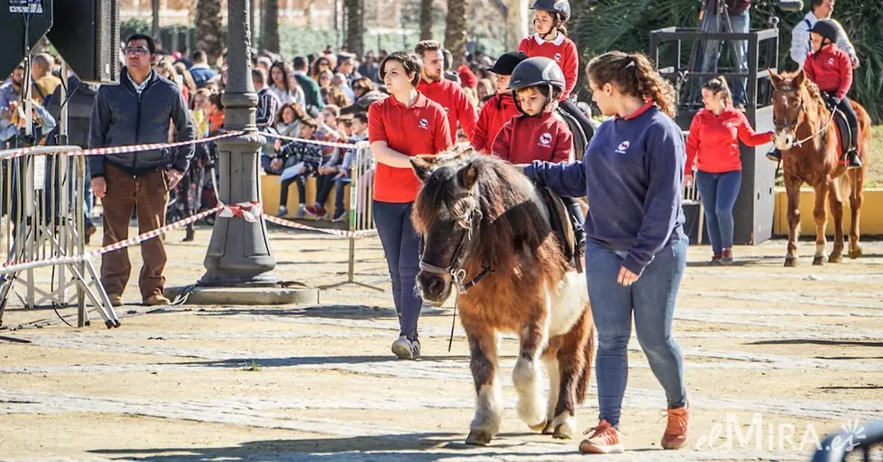 Festividad de San Ant&oacute;n en Jerez