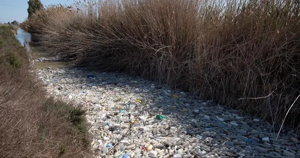 V&iacute;a: GreenPeace
