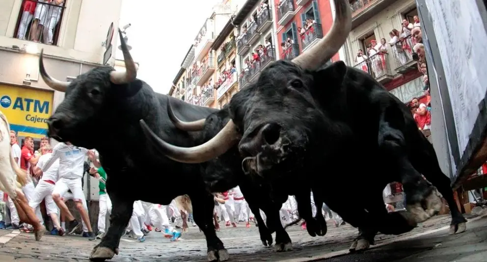 Proc/JFIF/EFE-Calidad:Excelente