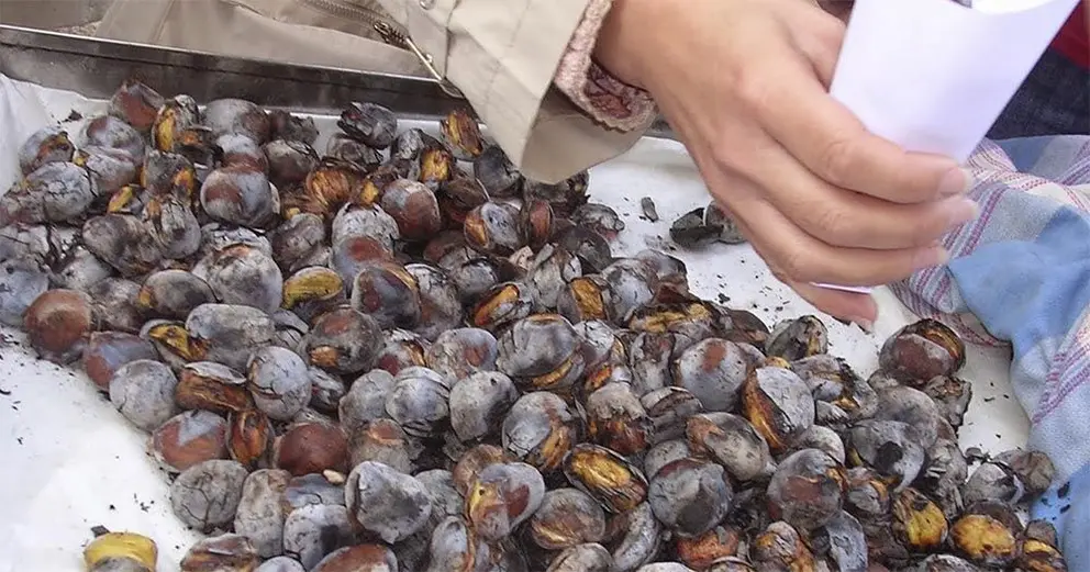 Casta&ntilde;as asadas