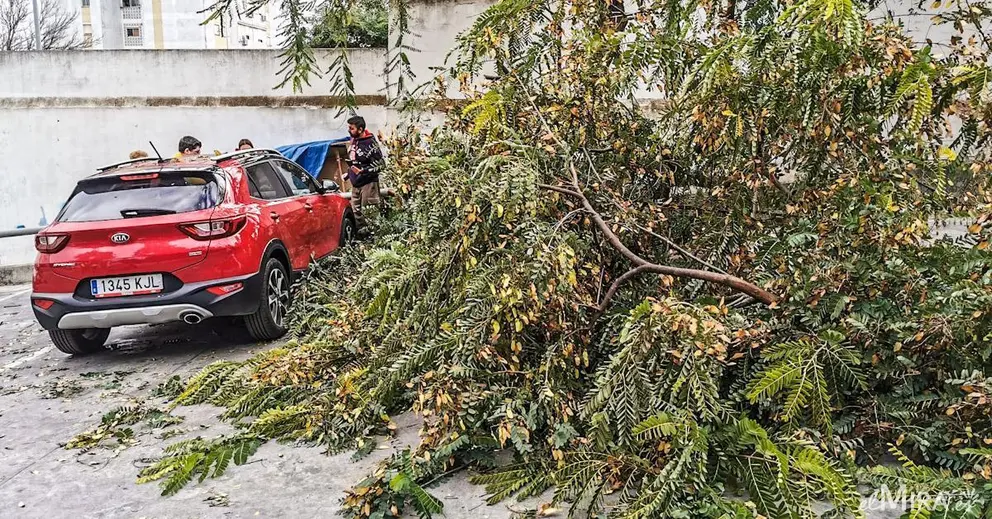Ronda de San Telmo | Jes&uacute;s Catal&aacute;n para elMIRA.es