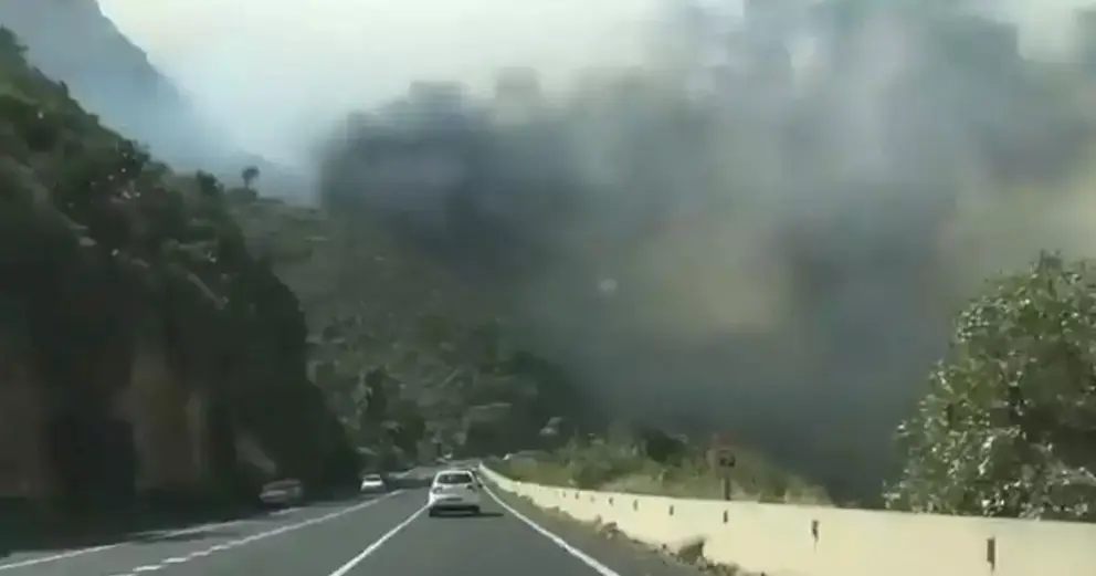 Un incendio forestal