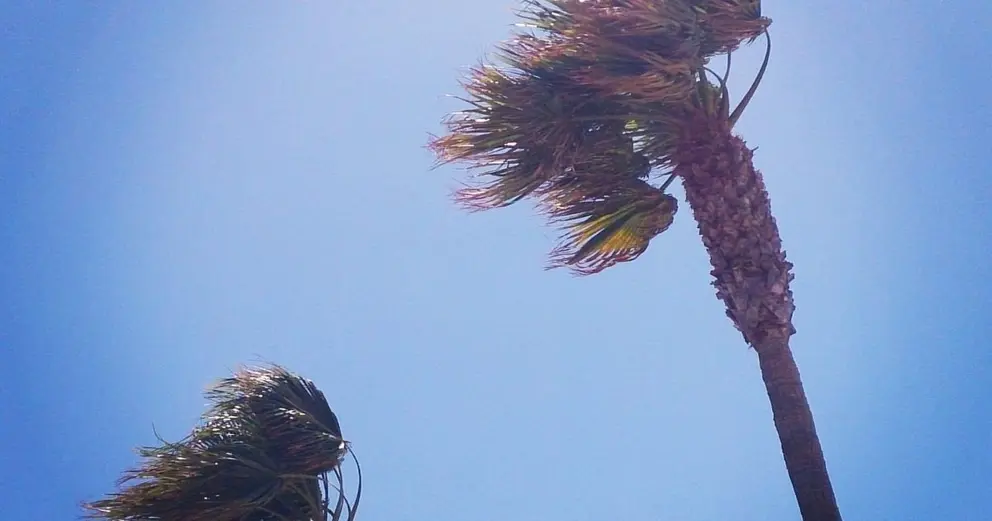 El viento llega con fuerza a Andaluc&iacute;a