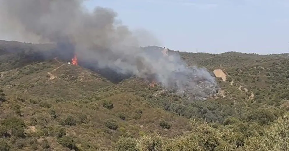 Incendio forestal en Aznalcollar (Sevilla)