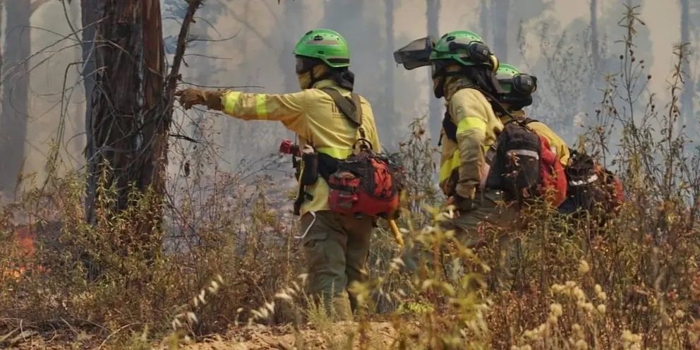 Bomberos trabajando en el incendio de Almonaster | INFOCA