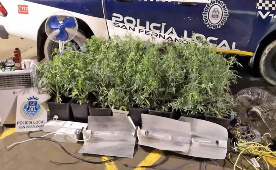 Operaci&oacute;n policial de la Polic&iacute;a Local San Fernando