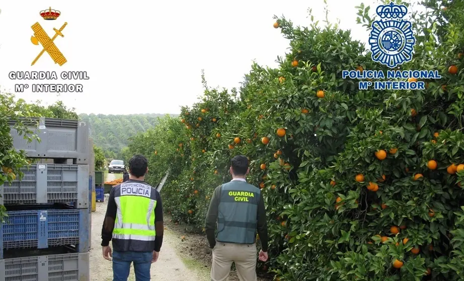 21/12/2020 Agentes de la Polic&iacute;a Nacional y de la Guardia Civil han tomado parte en la operaci&oacute;n conjunta en la provincia de C&oacute;rdoba contra la inmigraci&oacute;n clandestina.
SOCIEDAD ANDALUC&Iacute;A ESPA&Ntilde;A EUROPA C&Oacute;RDOBA
GUARDIA CIVIL/POLIC&Iacute;A NACIONAL