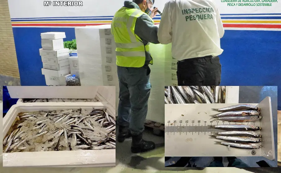 Guardia Civil se incauta de 600 kilos de boquer&oacute;n en el mercado mayorista de &Uacute;beda | Guardia Civil