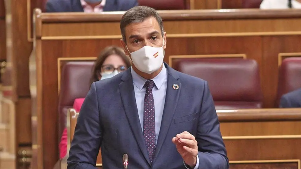 Pedro S&aacute;nchez