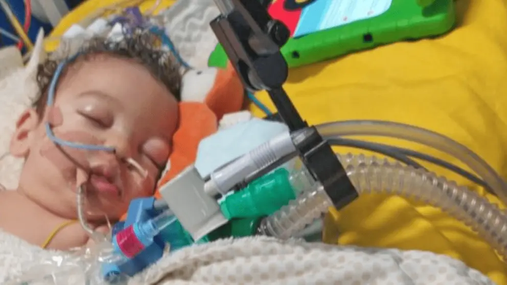 El peque&ntilde;o Satur ingresado en Reino Unido