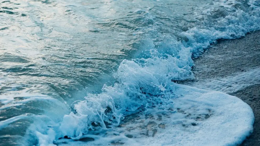 Orilla del mar revuelto