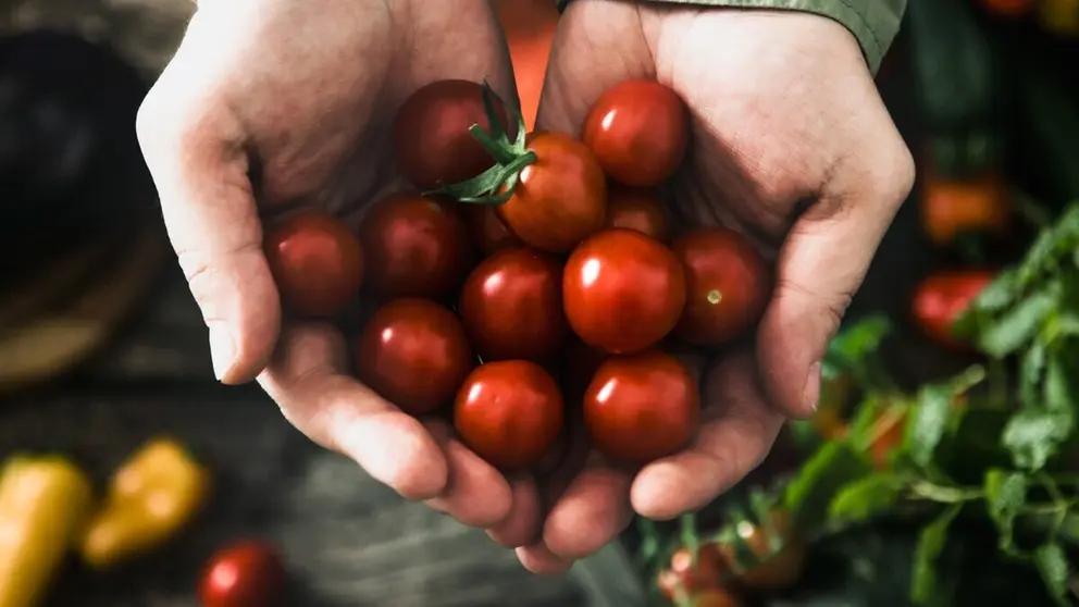 Las verduras crudas, frescas y de temporadas son indispensables en primavera