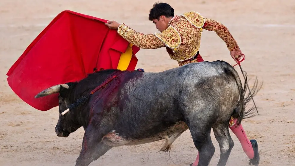 Corrida de Toros