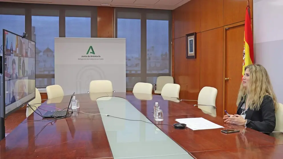 Ana Mestre duranteencuentro web Empresa e Investigaci&oacute;n, organizado por On-Tech Oficina de Transformaci&oacute;n Digital de Andaluc&iacute;a y la Universidad de C&aacute;diz (UCA)