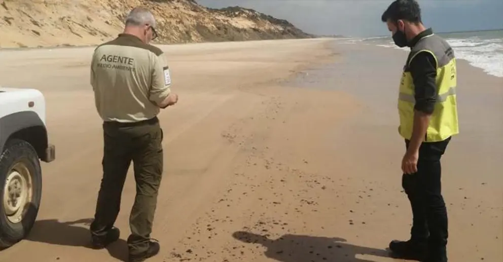 La Junta desactiva el Plan de Emergencia ante la contaminaci&oacute;n en Huelva