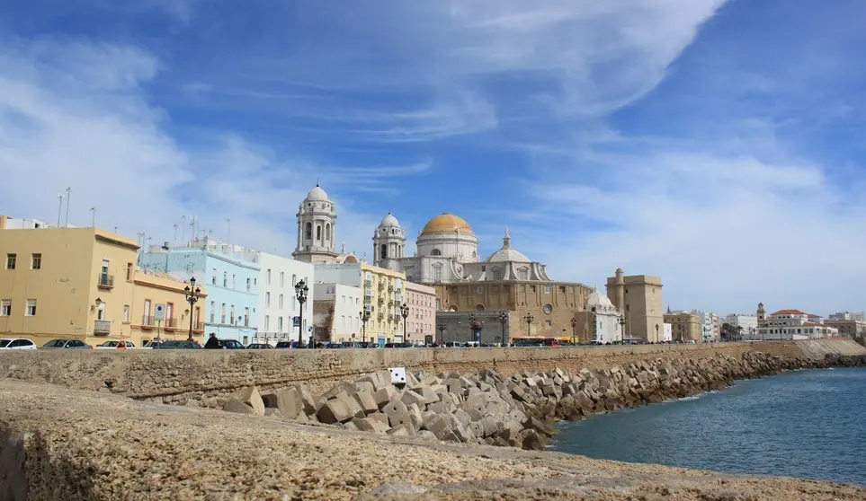 El Campo del Sur de C&aacute;diz