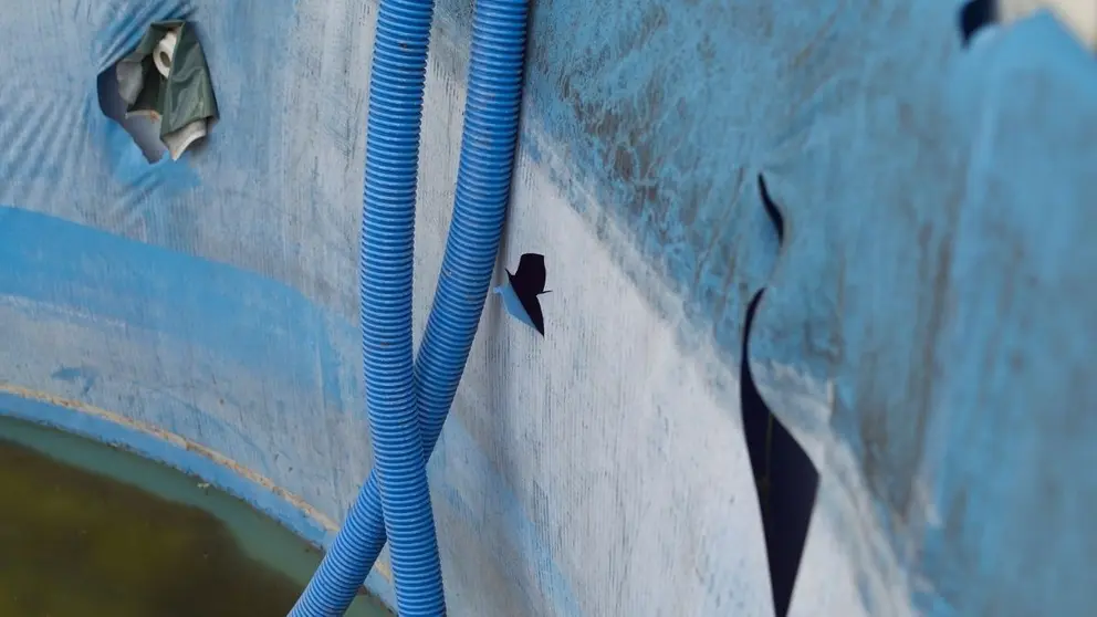 Piscina desmontable con agujeros y desgarros