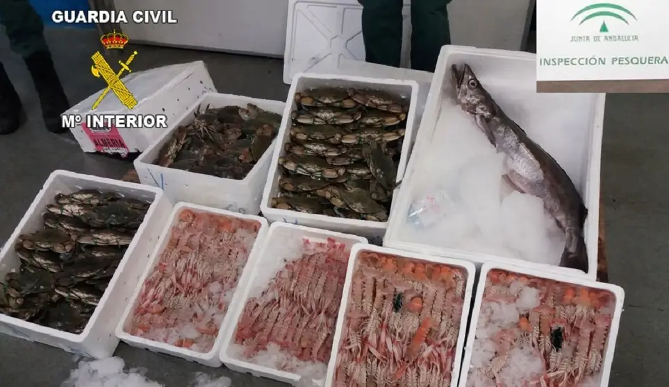 Pescaco y marisco no apto para el consumo
