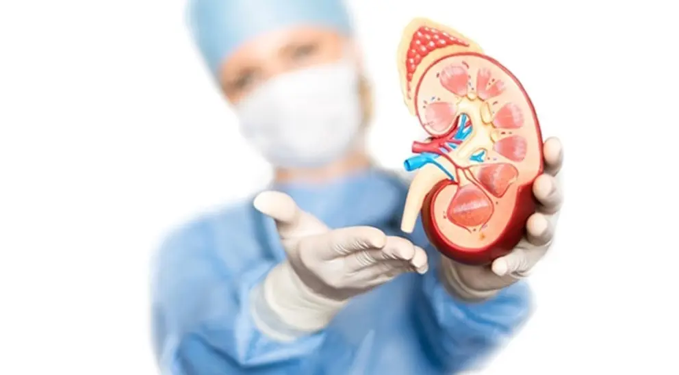 Patolog&iacute;a hereditaria del ri&ntilde;&oacute;n