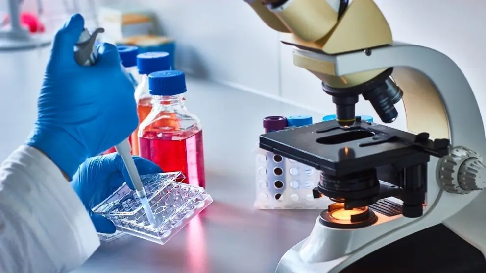 Dise&ntilde;o sin t&iacute;tulo