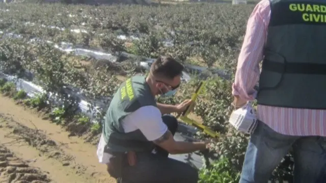 Guardia Civil en Huelva / El Mira