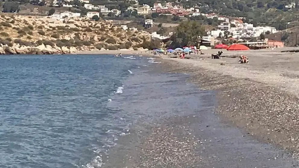 Playa de Salobre&ntilde;a