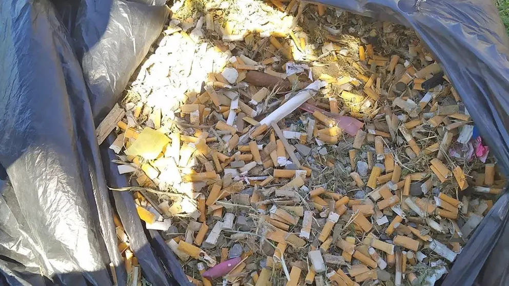 Recogida de colillas en Rinc&oacute;n de la Victoria