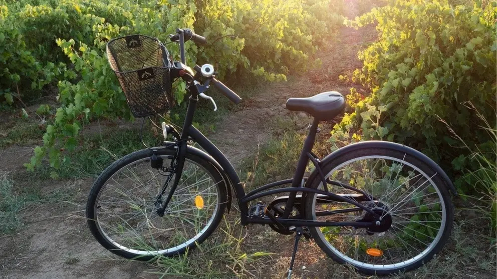 Bicicleta vi&ntilde;edo