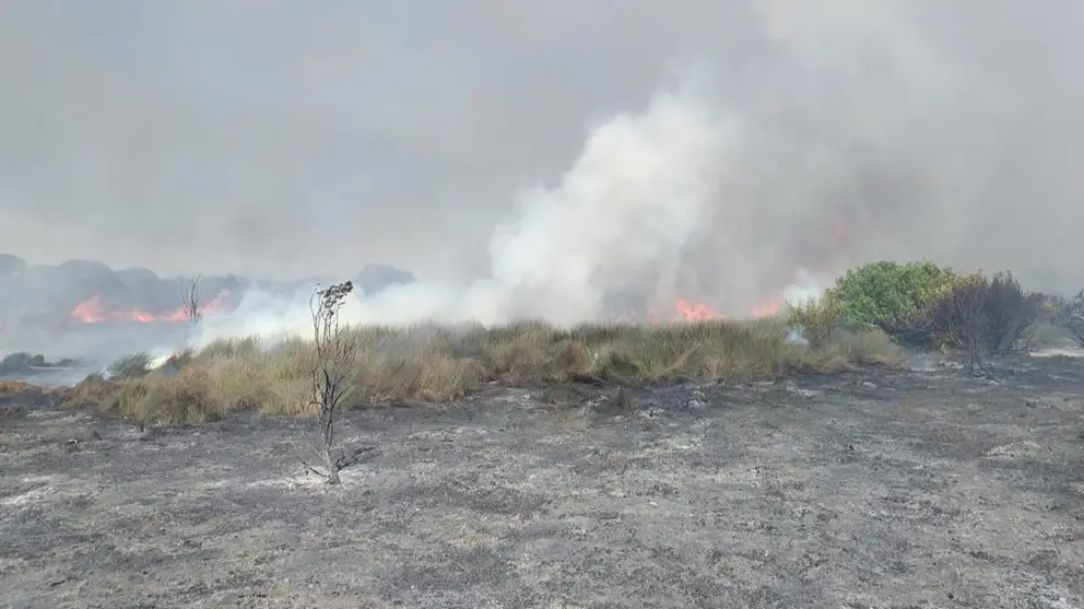 M&aacute;s de 30 bomberos trabajan en un incendio declarado en el Pinar de La Algaida de Sanl&uacute;car