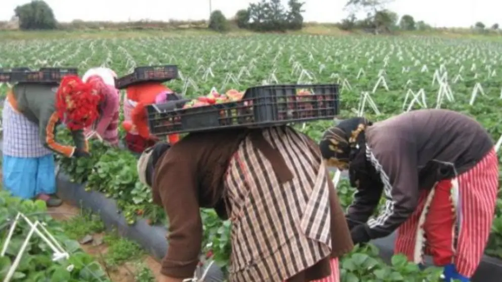 Temporeras Huelva / El Mira
