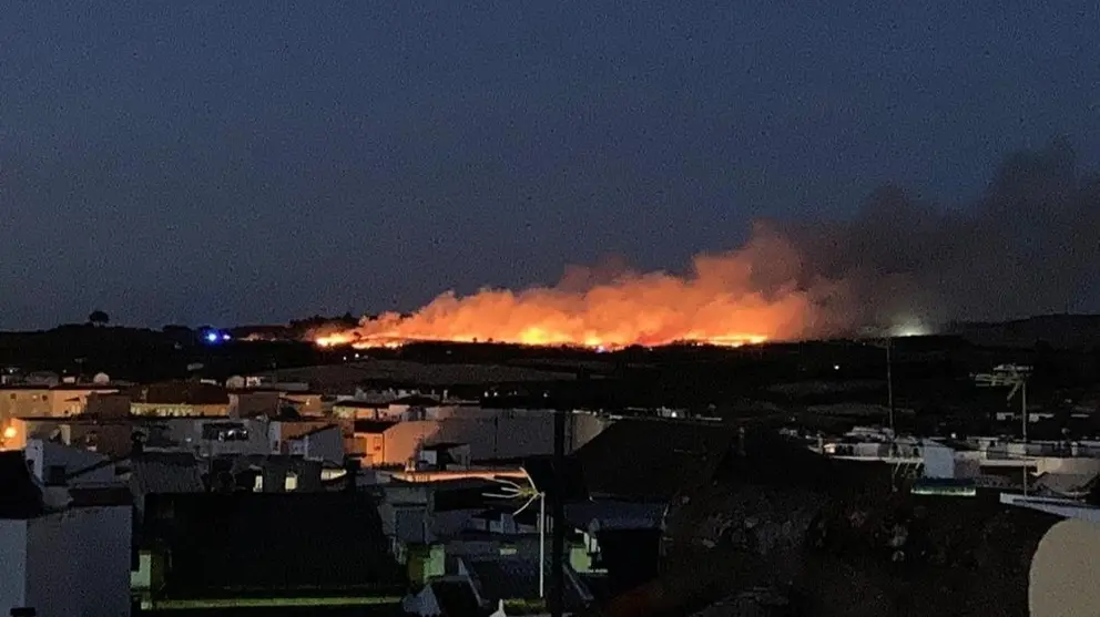 Incendio forestal en Bollullos Par del Condado