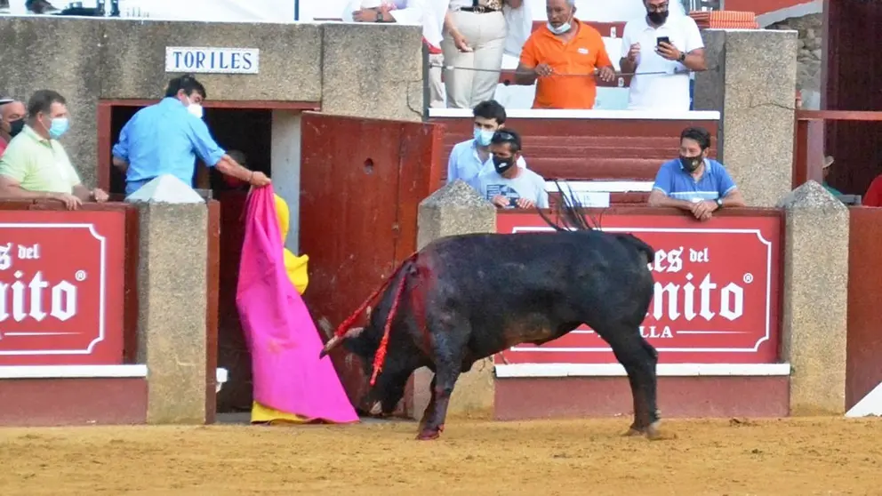 El novillo indultado