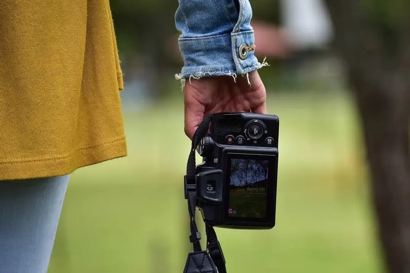 5 planes que puedes hacer en Alcal&aacute; de Guada&iacute;ra Foto: Pixabay