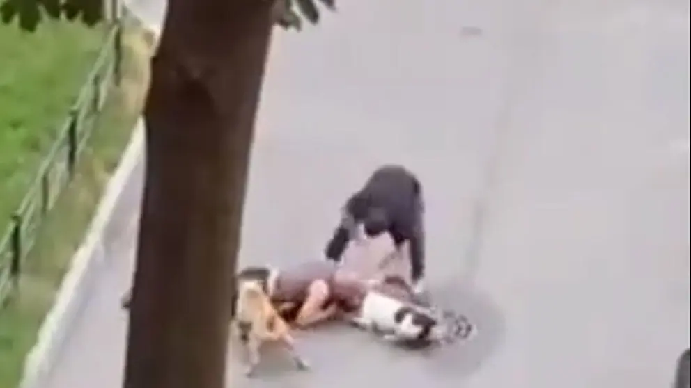 Hombre arriesga su vida por su mascota