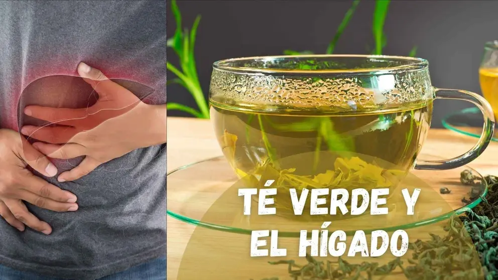 El t&eacute; verde mejora una enfermedad vinculada al h&iacute;gado