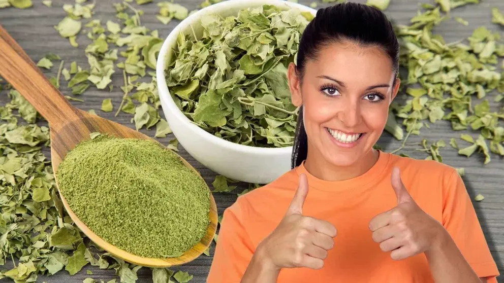 La moringa es uno de los alimentos m&aacute;s saludables del mundo