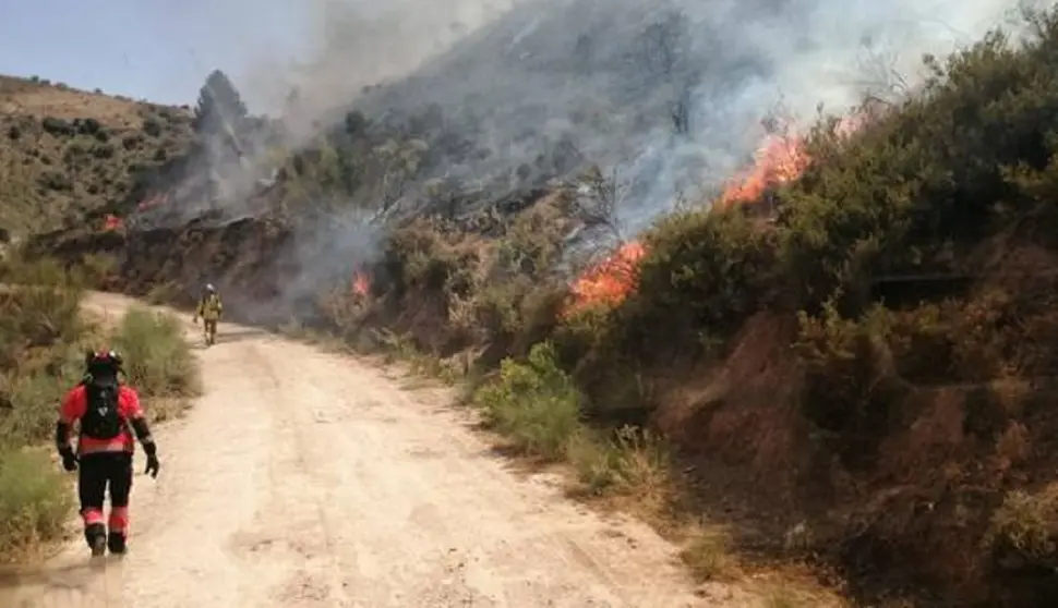 Incendio forestal en Granada