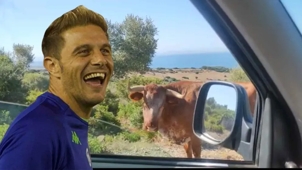 Joaqu&iacute;n y la vaca de Bolonia